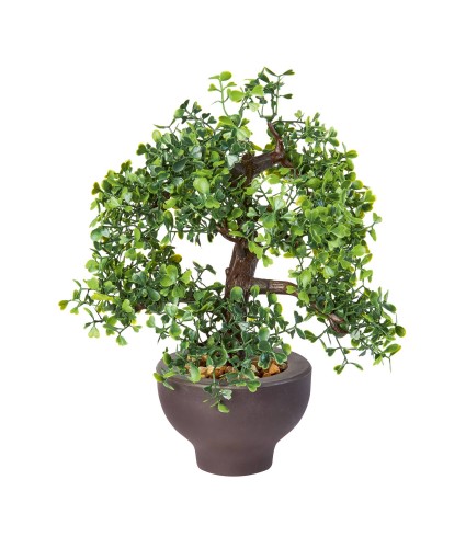 Premier 30cm Artificial Boxwood Bonsai Tree
