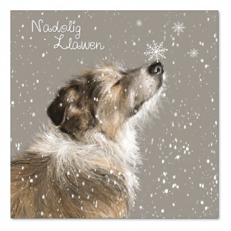 Barney's Snowflake Welsh Bilingual Christmas Cards - Pack of 10